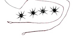 String D97 fläm. Black Widow 