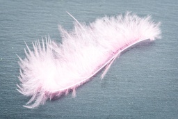 Plumes Naturelles Tracers 12pc.