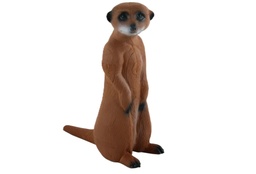 Standing Meerkat Longlife