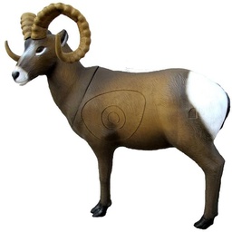 Rocky Mountain Sheep SRT