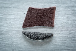 Patin de rechange pour Satori Hoyt 