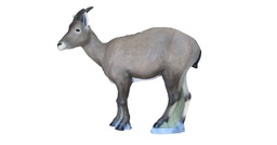 Femme Capricorne SRT