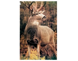 Cible Animale Mule Deer Martin 