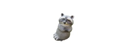 Racoon FB 