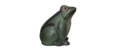 Frog FB 