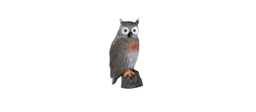 Brown Owl FB 